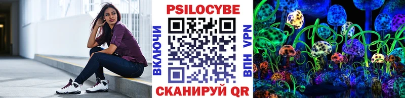 Галлюциногенные грибы Cubensis как найти Новый Оскол